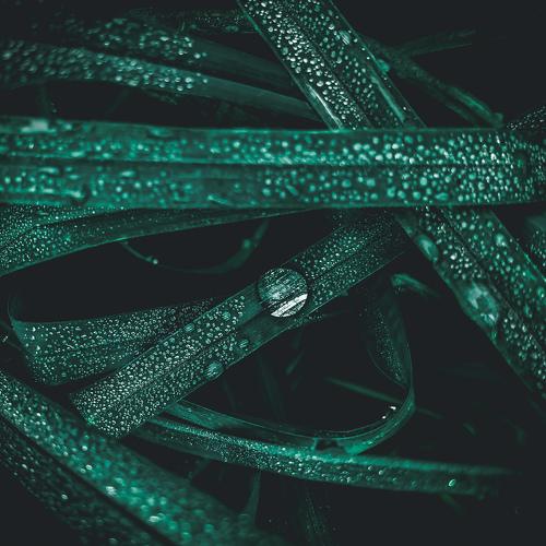 Nature photography
