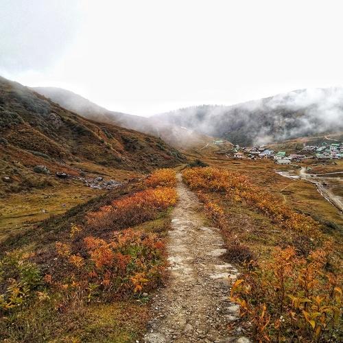 Photo #4784043