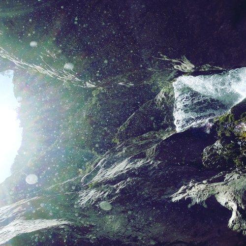 Photo #4784089