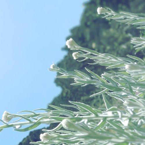 Photo #4784109