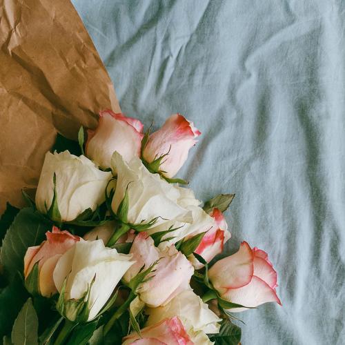 Photo #4784382