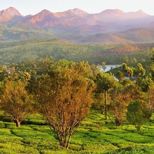 Dawn at Estate valley