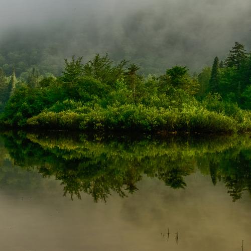 Photo #4785569
