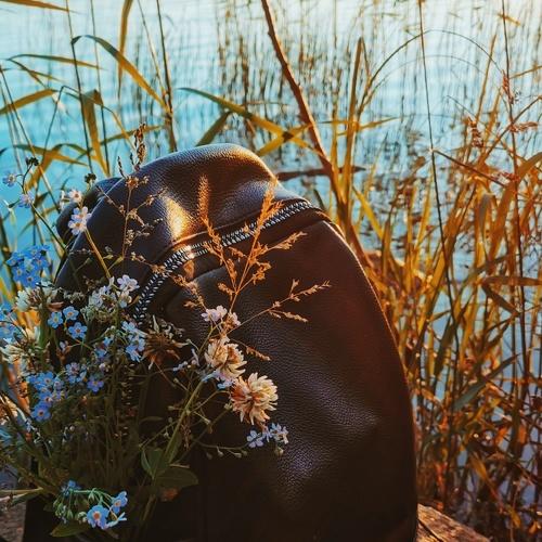 Photo #4785975