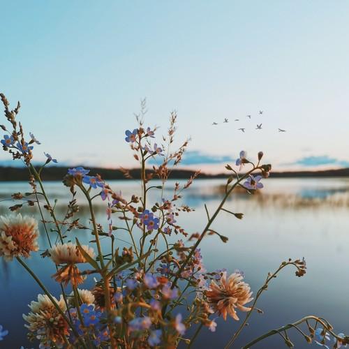 Photo #4785976