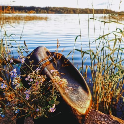Photo #4785977
