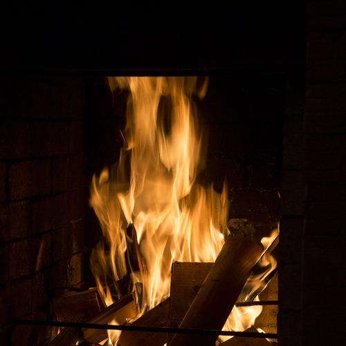 Photo #4786008