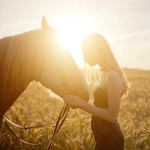Photo #4786080