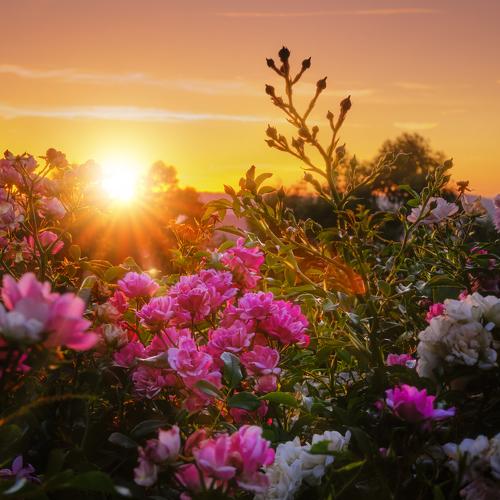 O por do sol