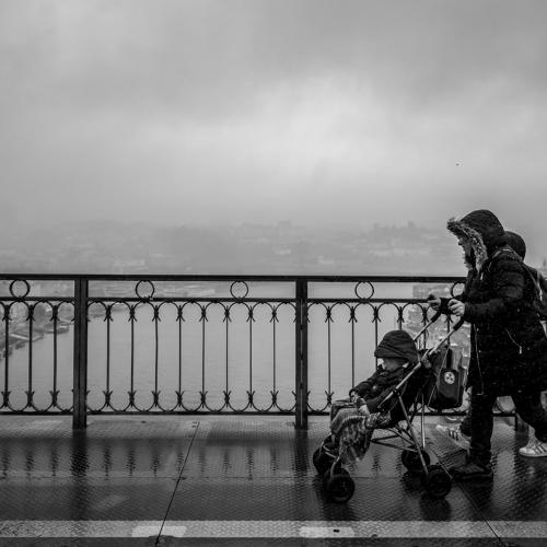Photo #4786238