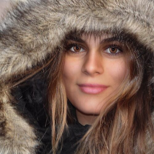 Photo #4786507