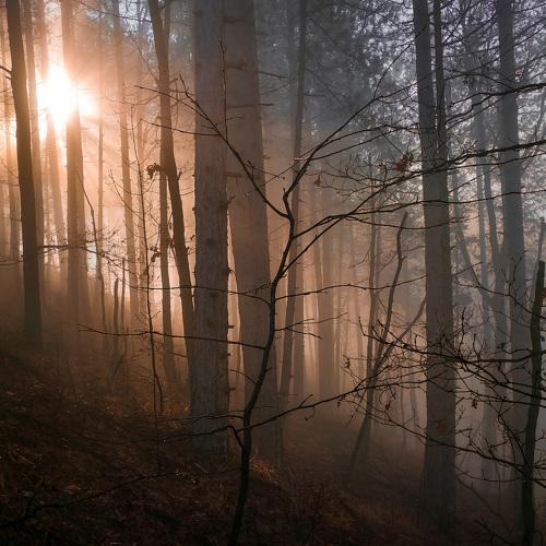 Photo #4786746