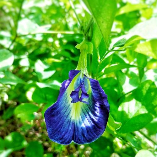 Photo #4786758