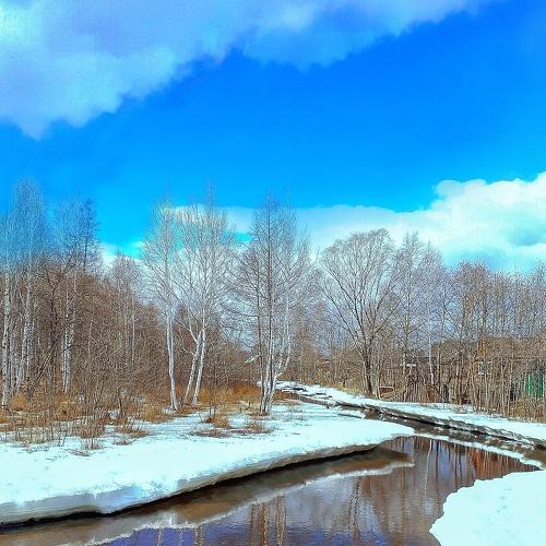 Photo #4786783