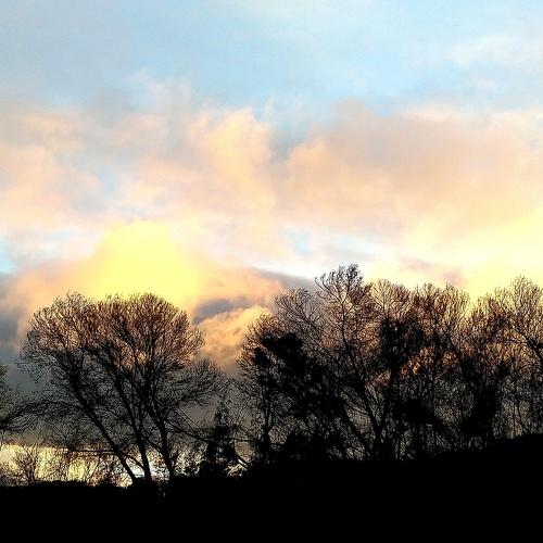 Photo #4786790