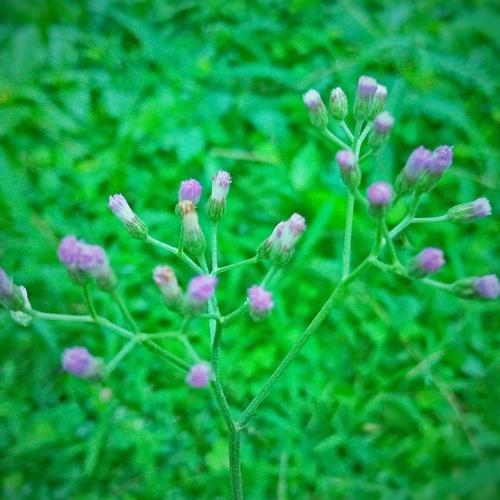 Photo #4787180