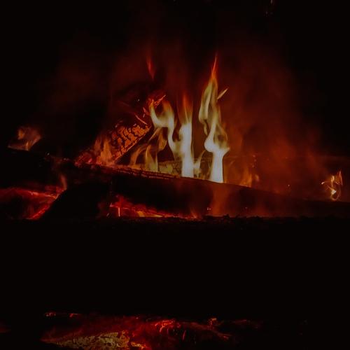 Photo #4787272