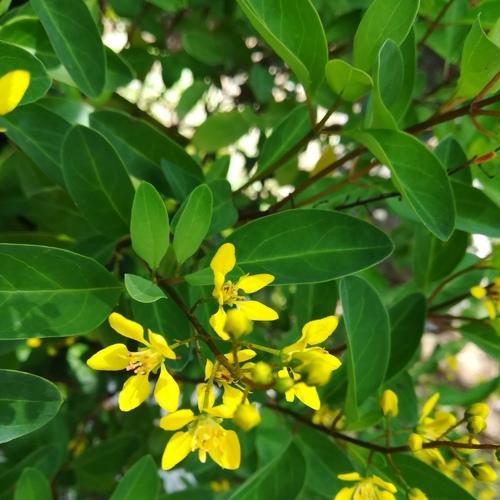 Photo #4787354