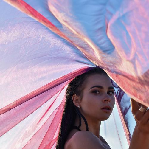 Photo #4787953