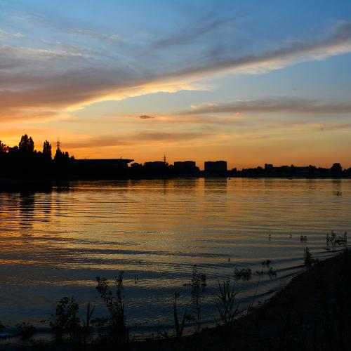 Photo #4788034