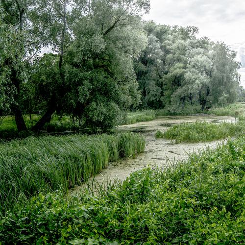 Photo #4788204
