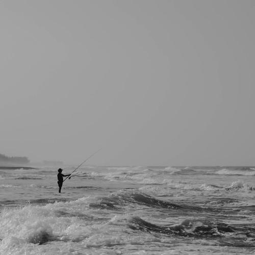 Photo #4789696
