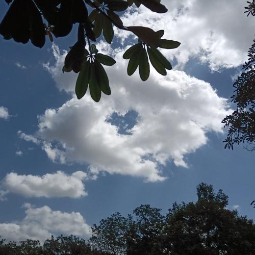 Sky Love