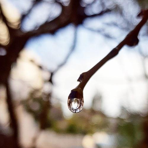 Water Drop