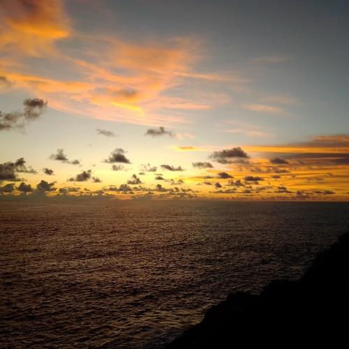 Photo #4790256