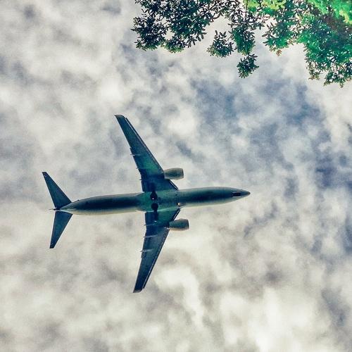 Photo #4790389