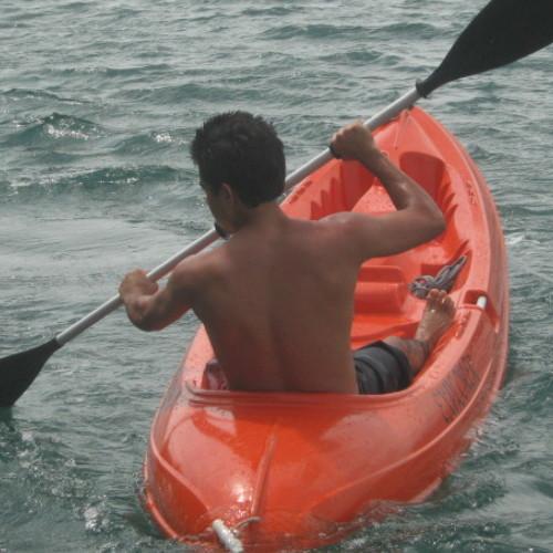 Photo #4790390