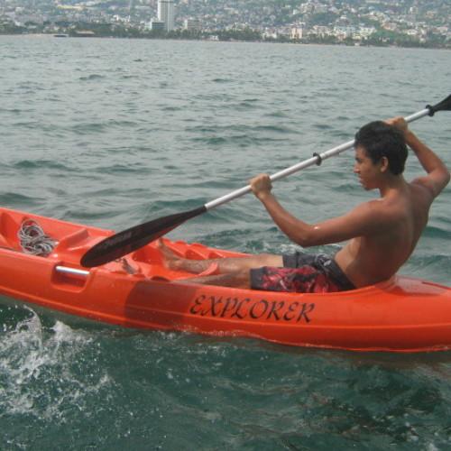 Photo #4790391