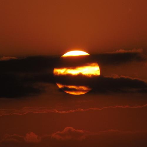 Photo #4790449
