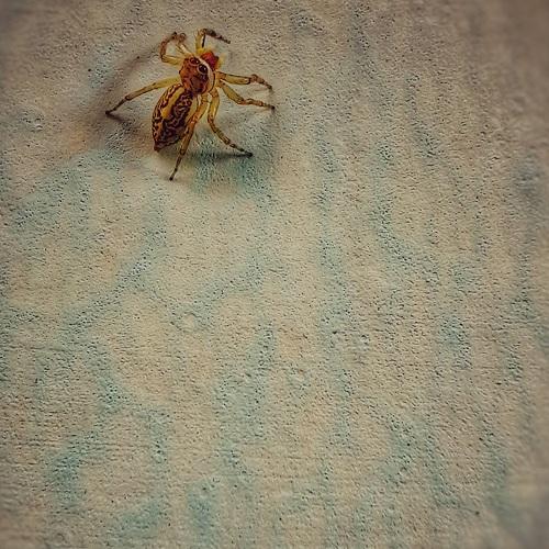 Photo #4790451
