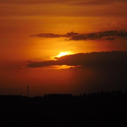 Photo #4790467