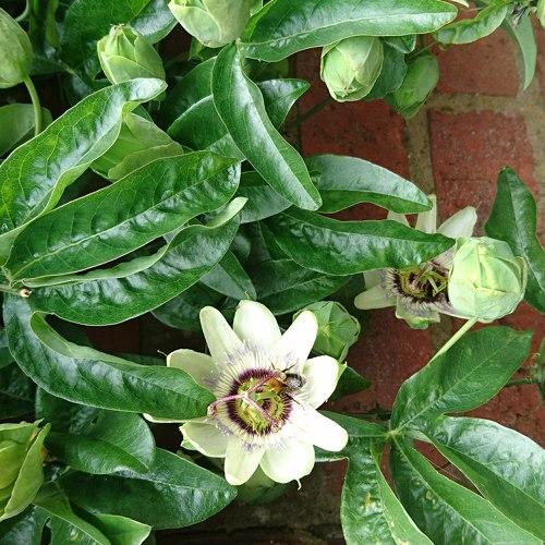 Photo #4790562