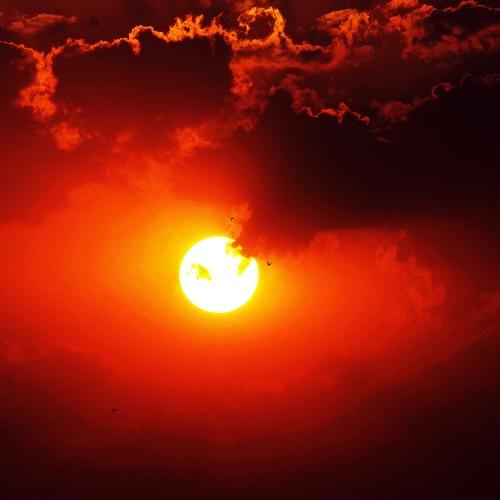 Photo #4790622