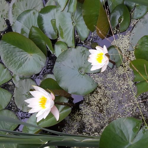 Photo #4790933