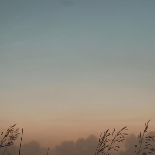 Photo #4791080