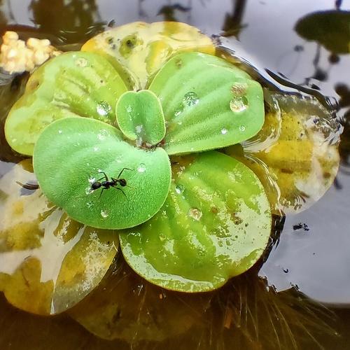 Photo #4791222