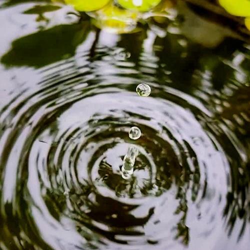 Photo #4791242