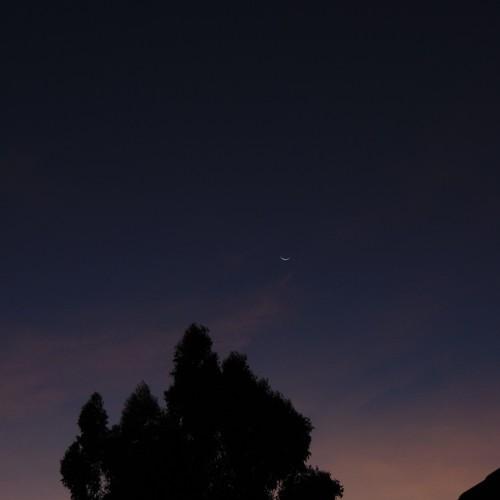 Night-sky