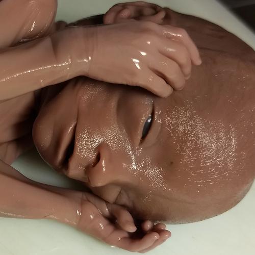 Photo #4792280