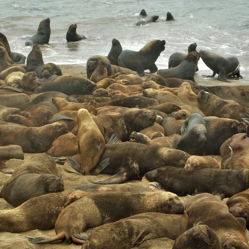 Photo #4792784