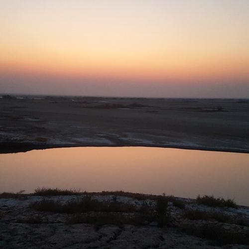 Photo #4792900