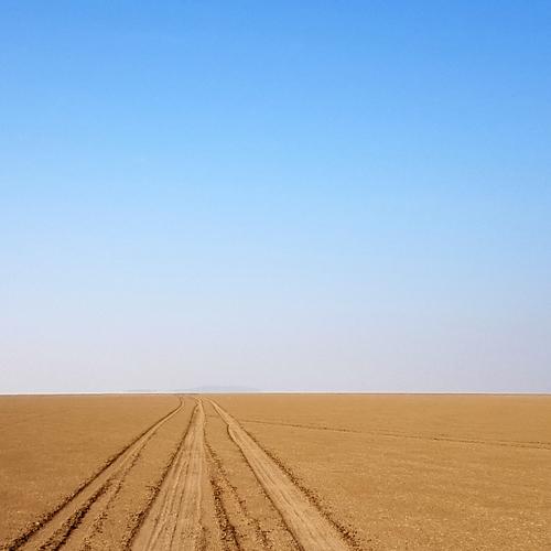 Photo #4792901