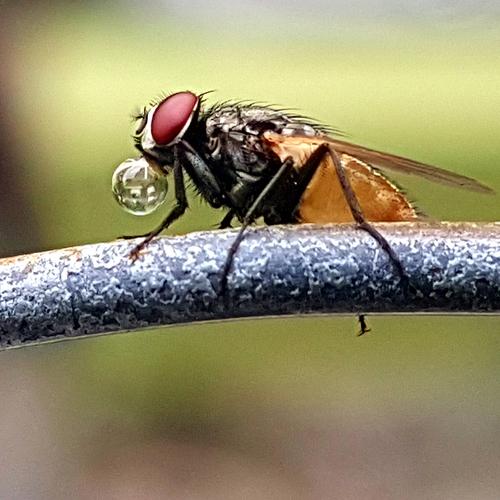 Photo #4792902