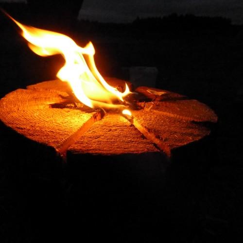 Photo #4792932