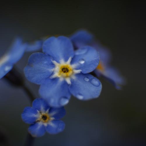 Photo #4793074
