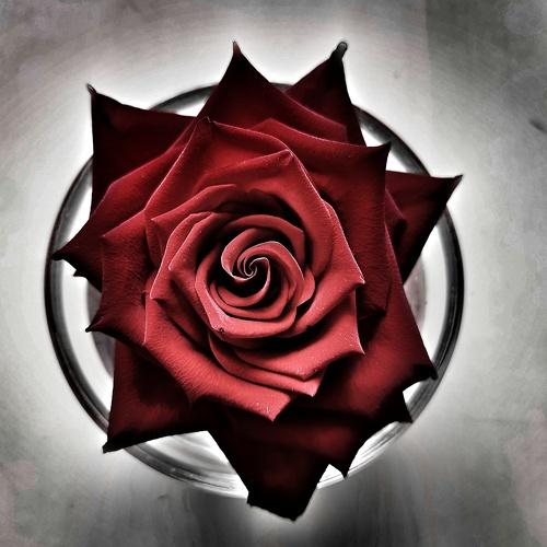 Photo #4793355
